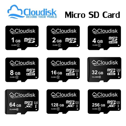 Cloudisk micro card 1gb - cloudisk, sd